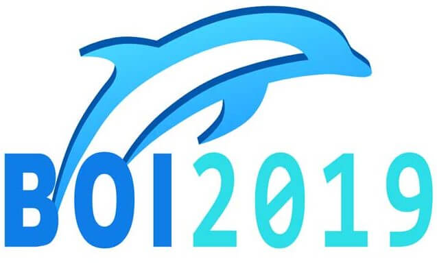 boi 2019 logo